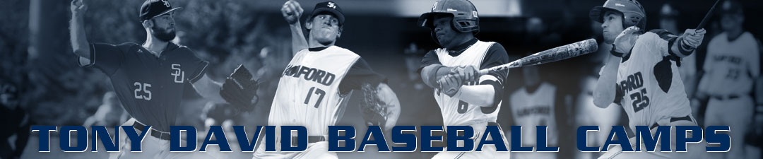 Tony David Baseball Camps Samford University Birmingham Al