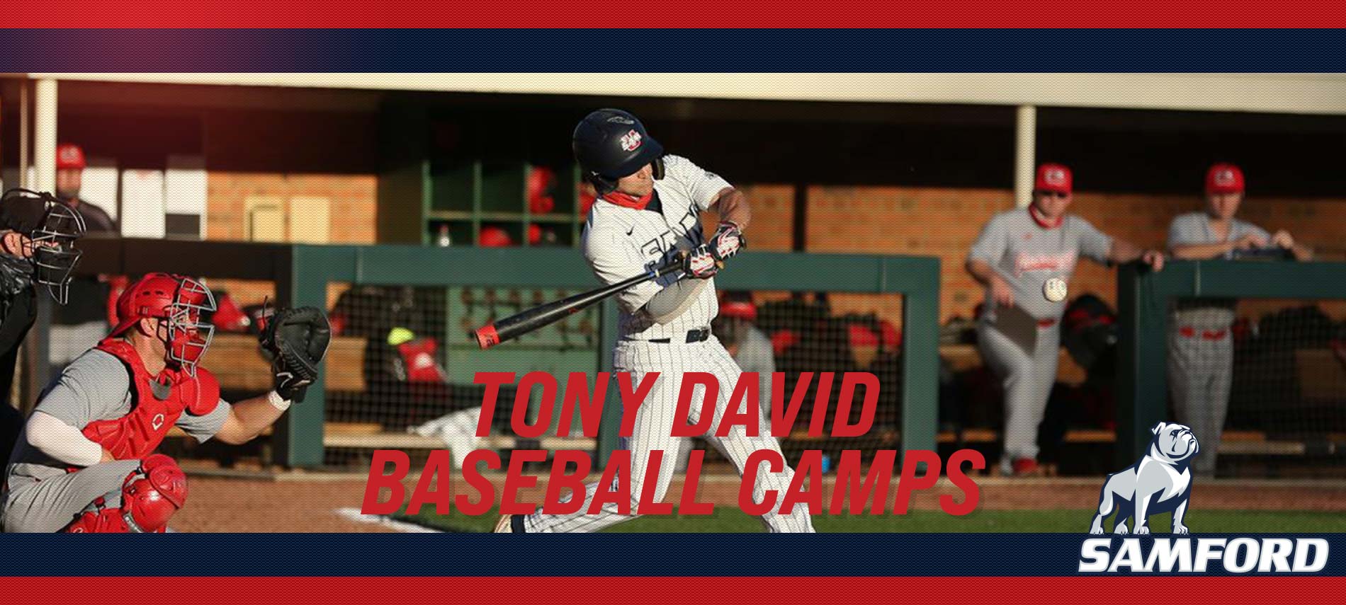 Tony David Baseball Camps Samford University Birmingham, AL